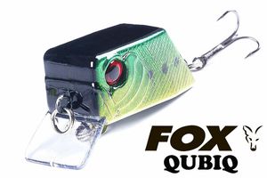 FOX QUBIQ - a tempting "puzzle" for the chub